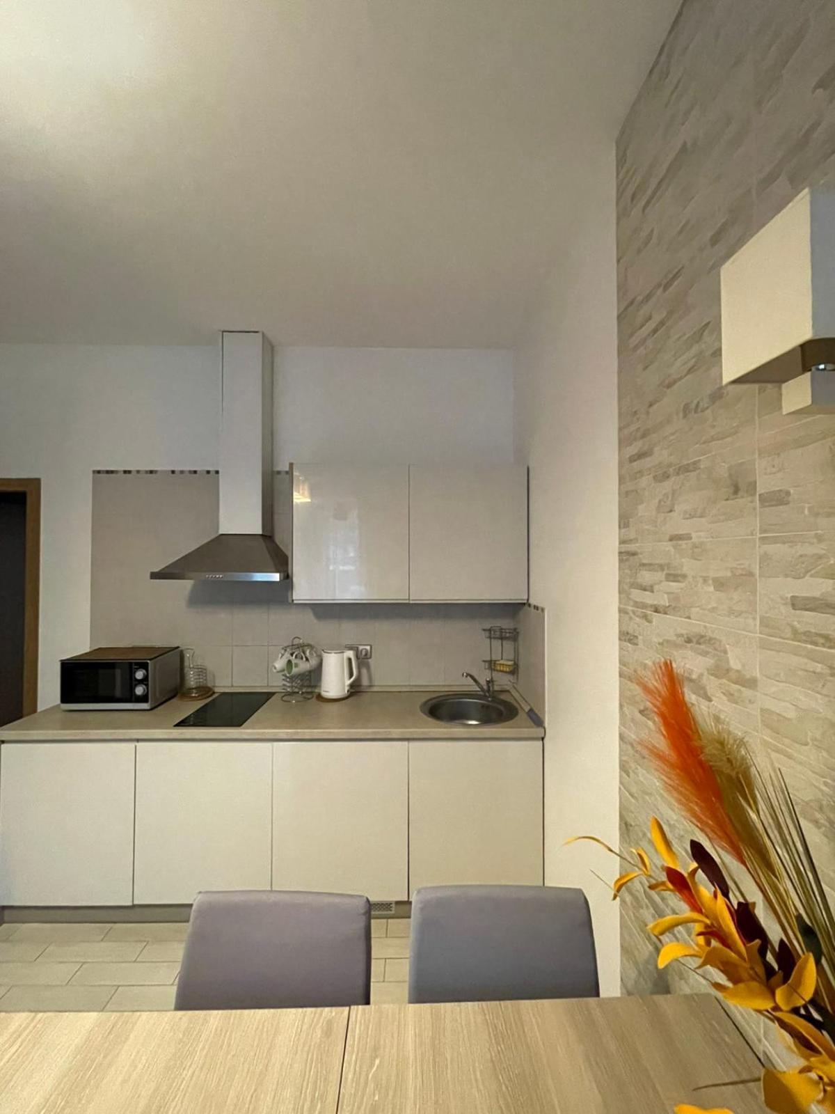 Taikos Apartmentai 2 Druskininkai Exterior foto
